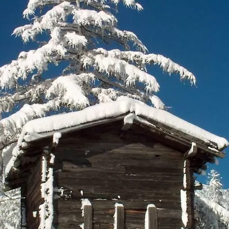 Chalet Alpenrosli Apartment Saas-Almagell